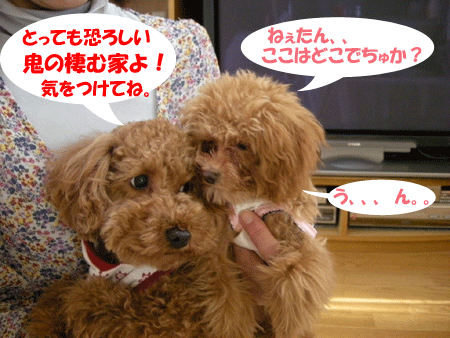 e0066883_2224660.gif