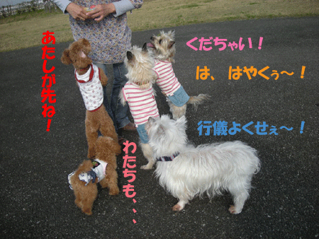 e0066883_22262413.gif