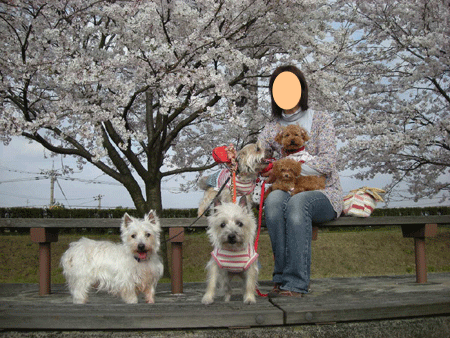 e0066883_22294545.gif