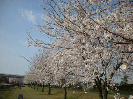 e0066883_2233246.gif