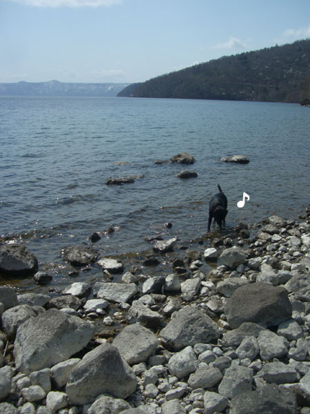 b0000885_8314169.jpg