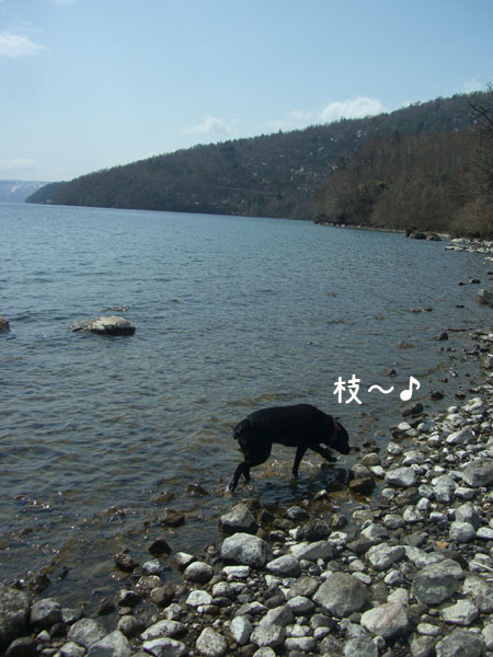 b0000885_8322068.jpg
