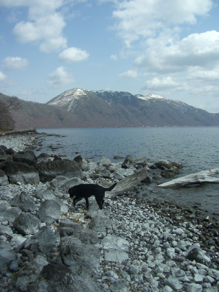b0000885_8423274.jpg