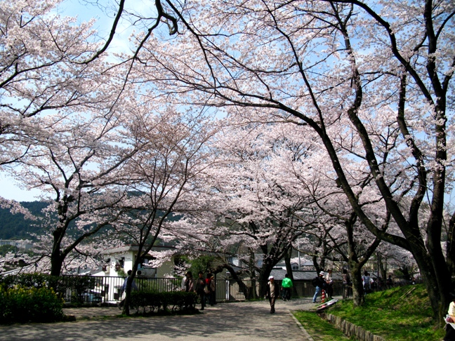 f0085185_21573230.jpg