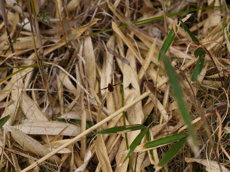 b0108186_18264097.jpg