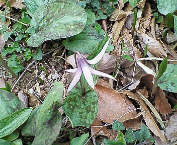 c0014187_2112115.jpg