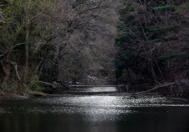 c0118496_2045999.jpg