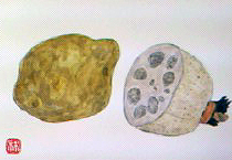 f0008597_20374847.jpg