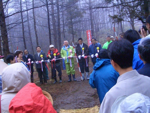 d0069498_159628.jpg