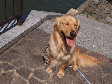 d0080601_075556.jpg