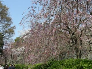 b0061107_2194930.jpg