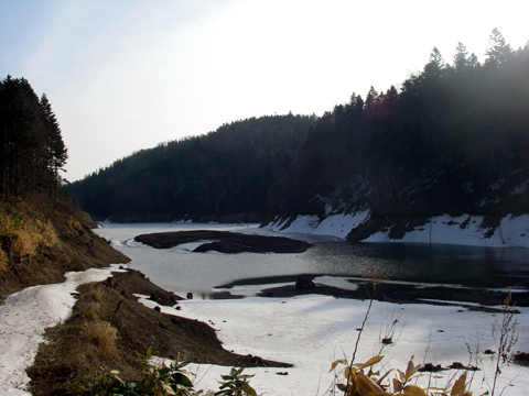 d0051707_205556.jpg