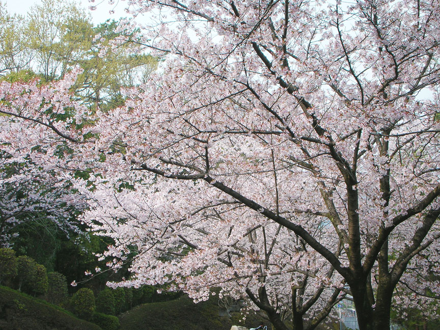 d0113610_14573654.jpg