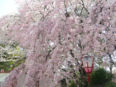 f0033510_61962.jpg