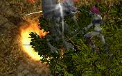 e0087811_8591761.jpg