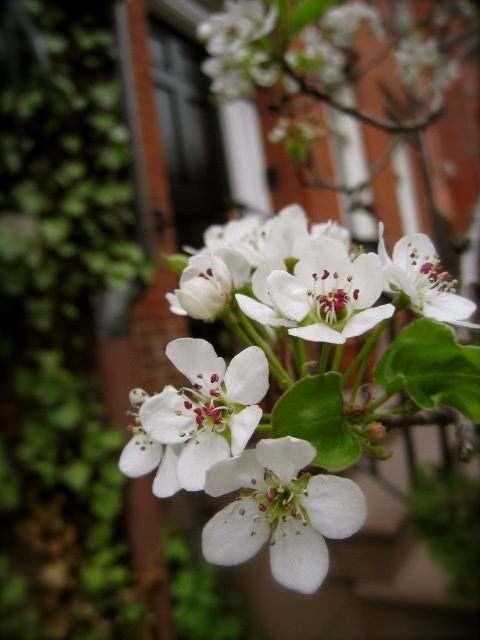 c0120817_9442322.jpg