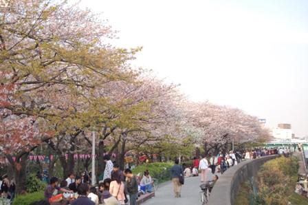 f0013019_13201086.jpg