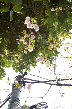 f0013019_13204356.jpg
