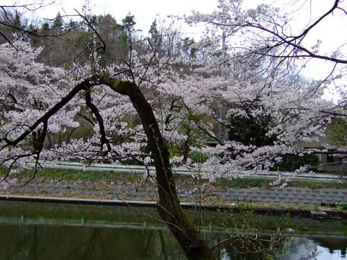f0147025_1712715.jpg