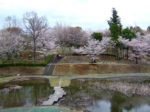 f0147025_17242287.jpg