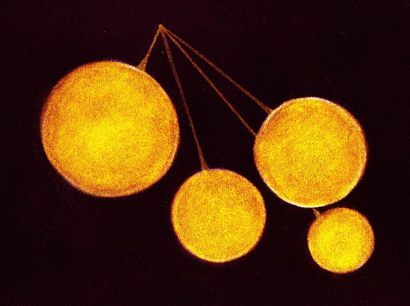 f0015226_23452754.jpg
