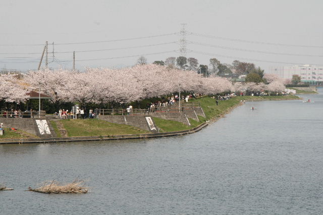 e0064133_048249.jpg