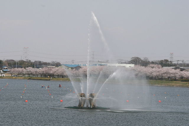 e0064133_048318.jpg
