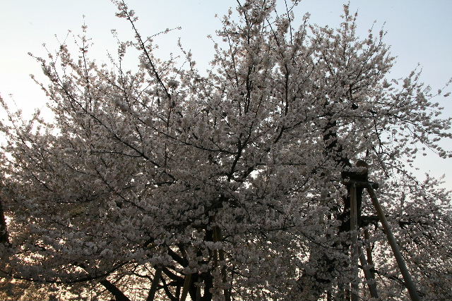 e0064133_165344.jpg
