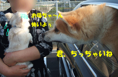f0008935_1312841.gif