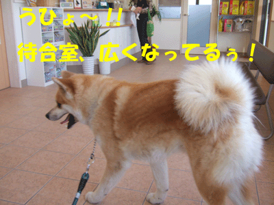 f0008935_1332687.gif