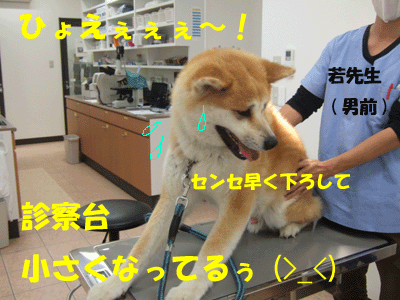 f0008935_1345934.gif