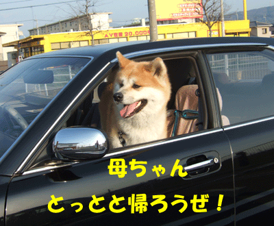 f0008935_1362135.gif