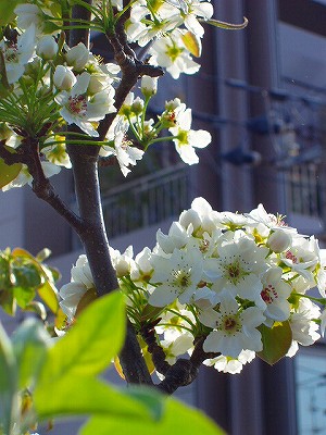 c0056437_0283196.jpg