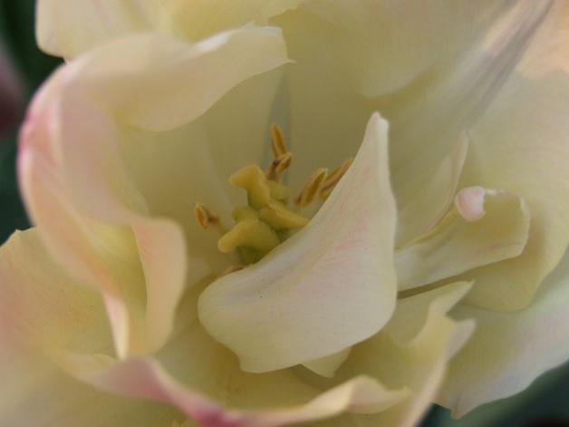 b0089338_121425.jpg