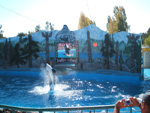 e0057740_13494560.jpg