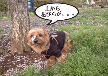 どうしたの~?"