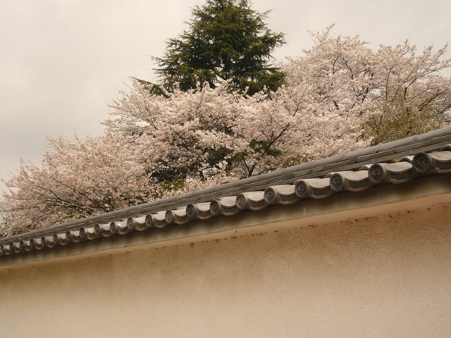 c0122445_16395589.jpg
