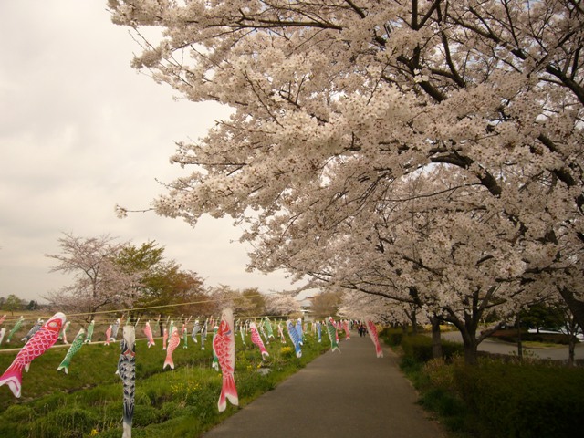 c0122445_16402349.jpg