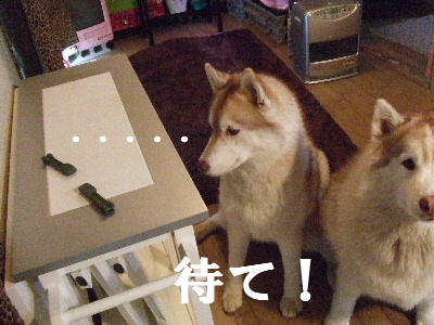 e0121548_19412777.jpg