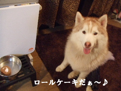 e0121548_2083139.jpg