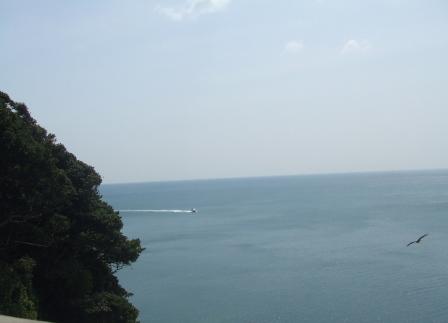 d0118050_22333484.jpg