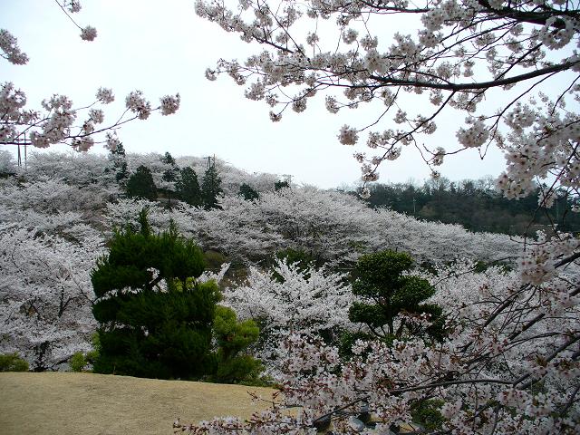 f0074659_2329719.jpg