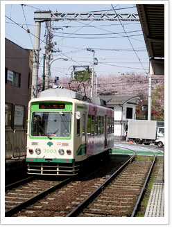 a0075661_13354137.jpg