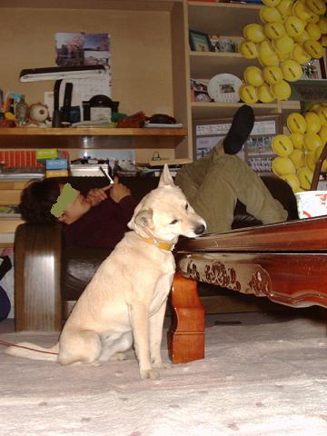 e0139167_1605820.jpg