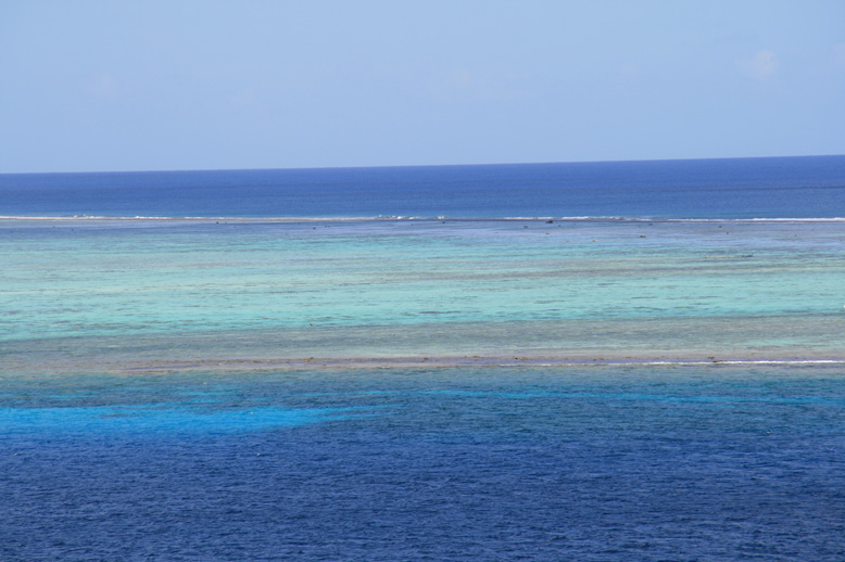 b0041473_1110471.jpg