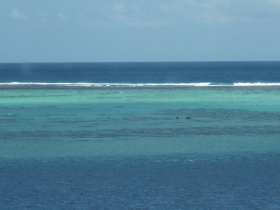 b0041473_1181264.jpg