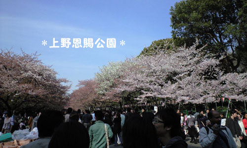 e0097776_9563826.jpg