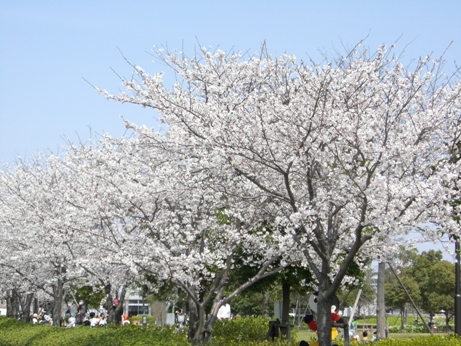 f0116278_19522895.jpg