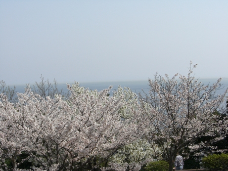 f0116278_1953426.jpg