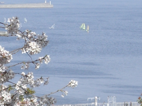 f0116278_19561367.jpg